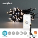 SmartLife-kerstverlichting | Koord | Wi-Fi | Warm tot Koel Wit | 50 LED's | 5.00 m | Android™ / IOS